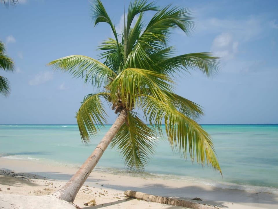 Wohnung in Dominicus mit Grill, Garten und Terrasse - San Rafael del Yuma