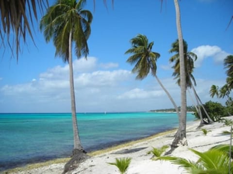 Wohnung in Dominicus mit Garten