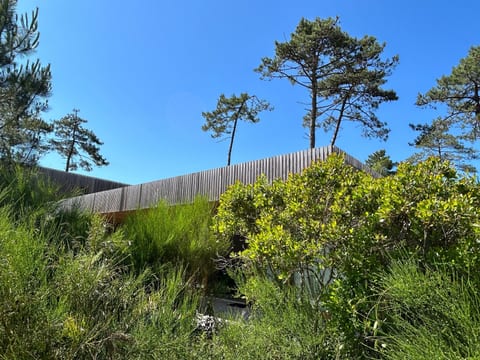 La Maison Pinède