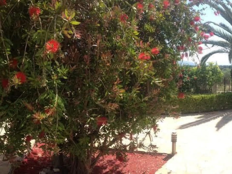 Studio mit Garten - Eretria
