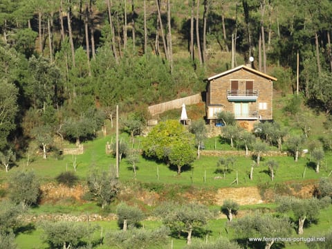 mit Sonnenterrasse und großem Garten