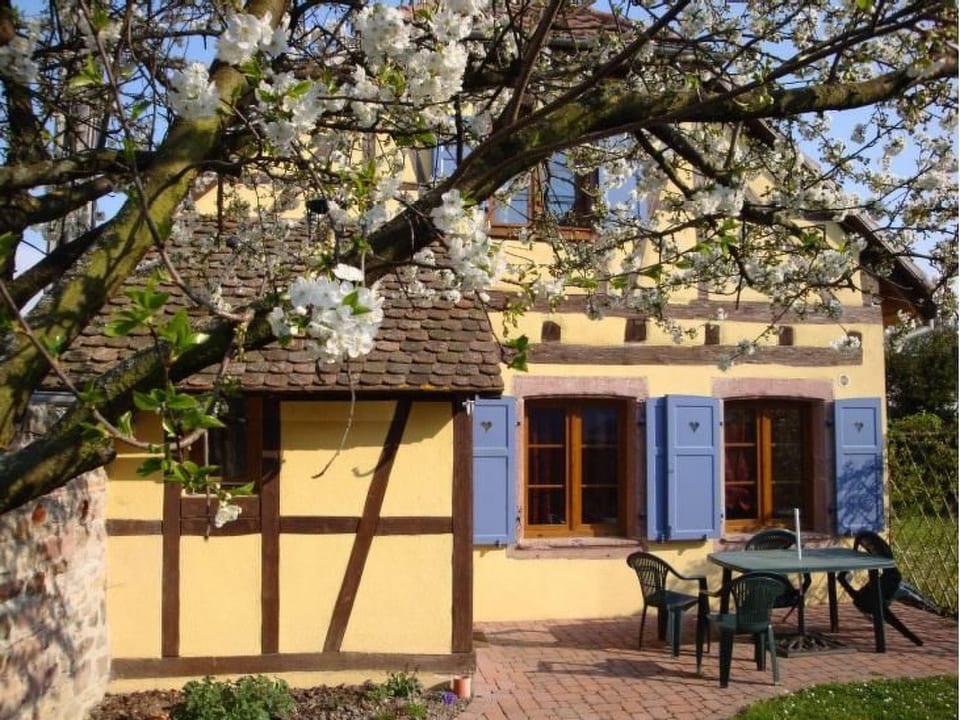 Gîte Sonneblüem un Pfefferminz - Horbourg-Wihr