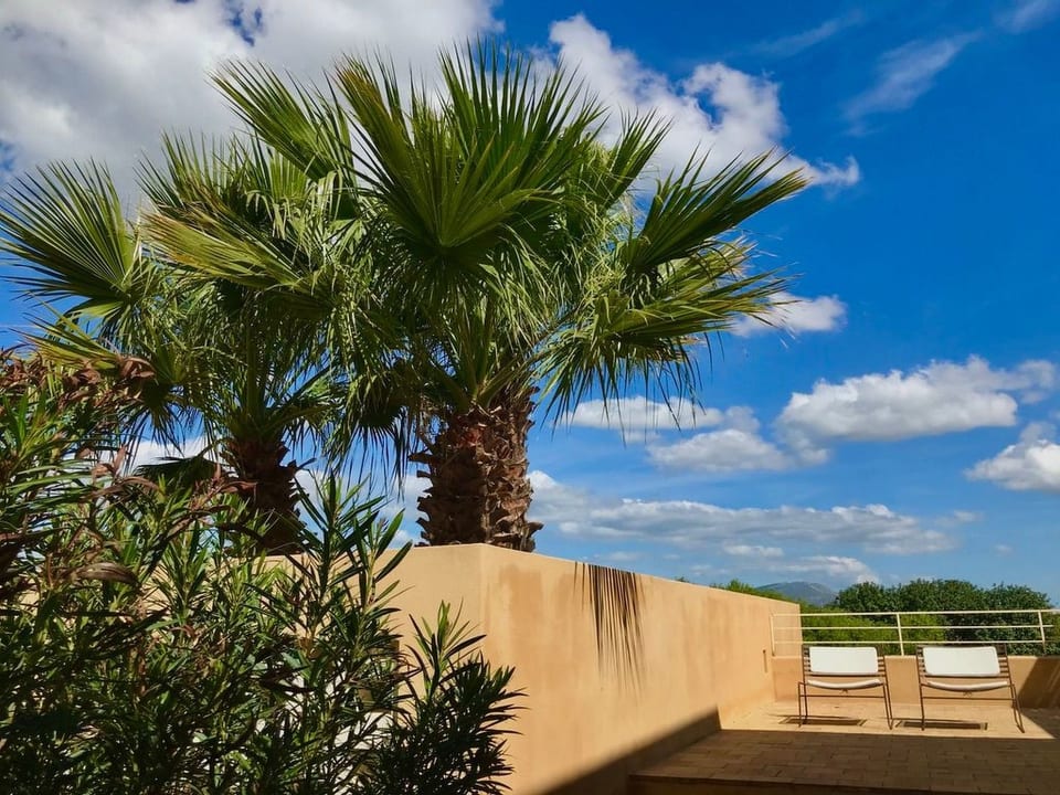Haus der Palme in Menfi - Free municipal consortium of Agrigento