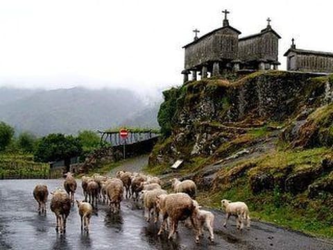 Soajo - Die schönste Gegend von Gerês 2