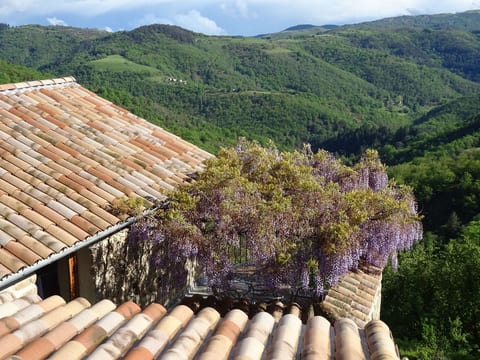 "Les Glycines"