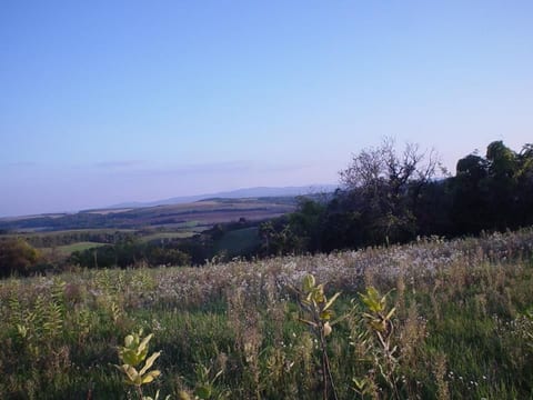 Legedi Ház