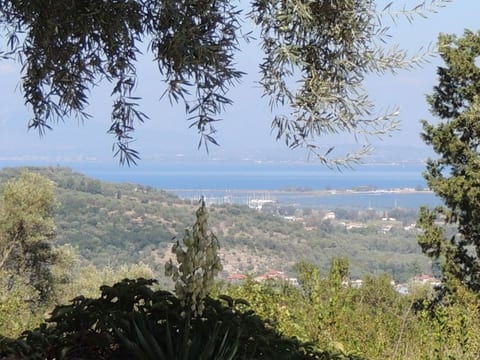 Villa Pergola
