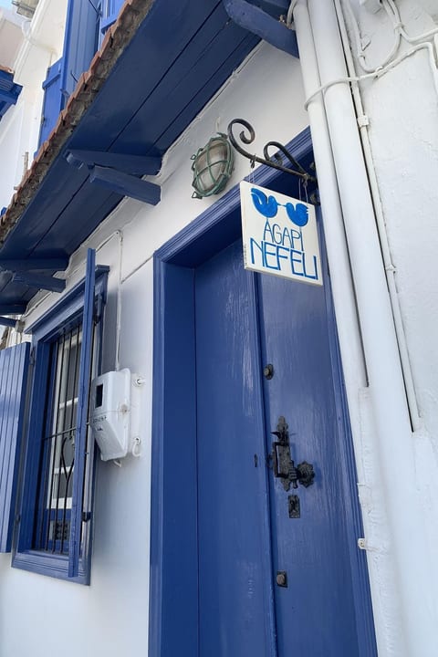 in Skopelos mit Grill und Terrasse