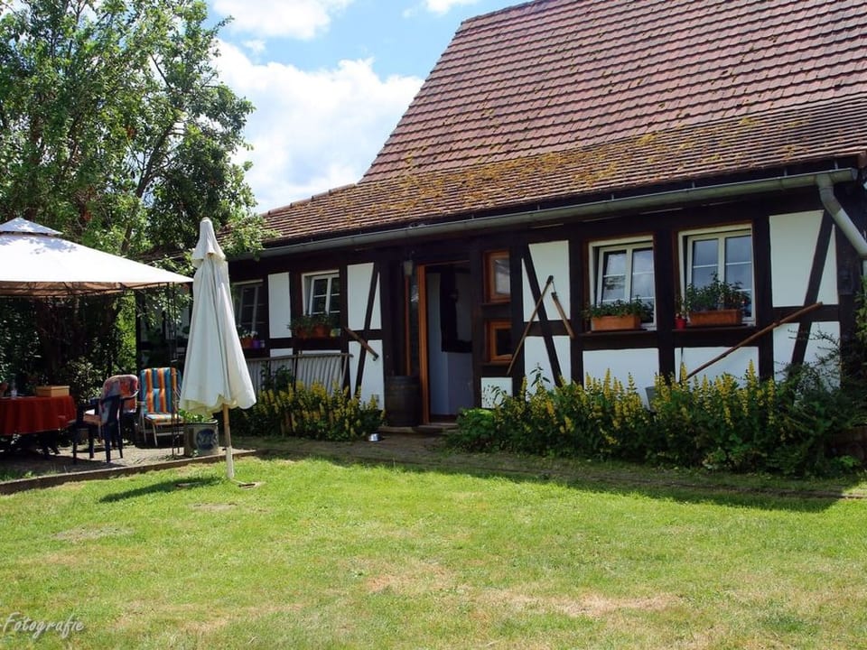 Gemütliches Appartement in Betschdorf - Betschdorf