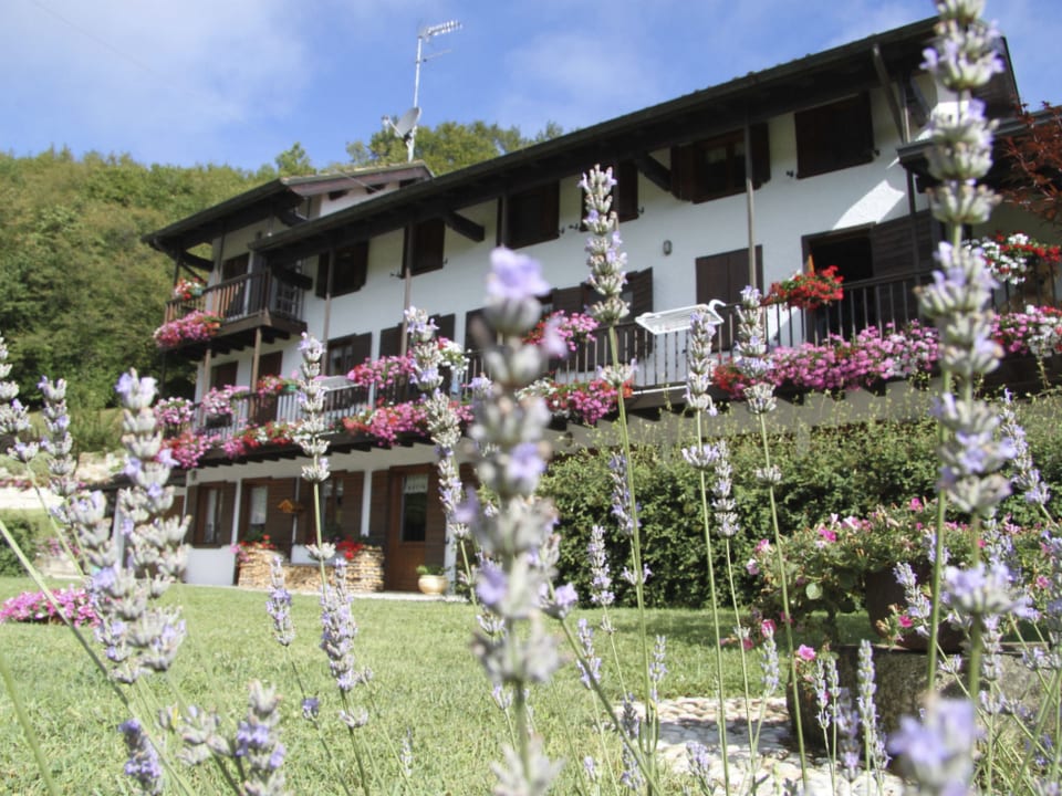 Duck's Cottage für einen Dolomitenurlaub - Feltre