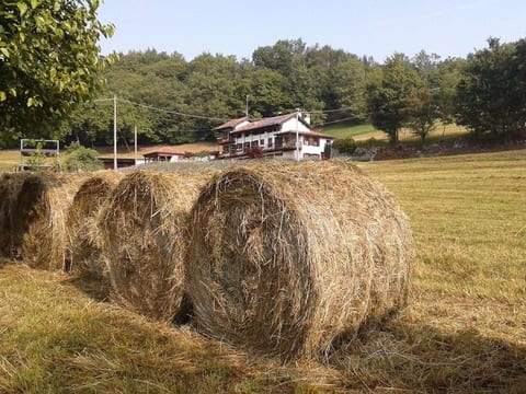 Duck's Cottage für einen Dolomitenurlaub