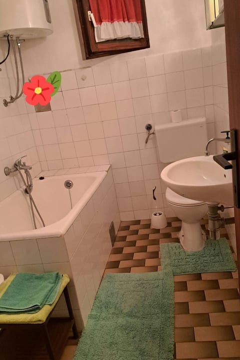 Višnja 2