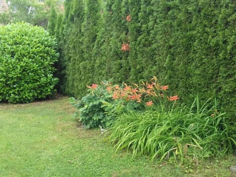 Klimatisiertes Ferienhaus in Bükfürdö mit Garten
