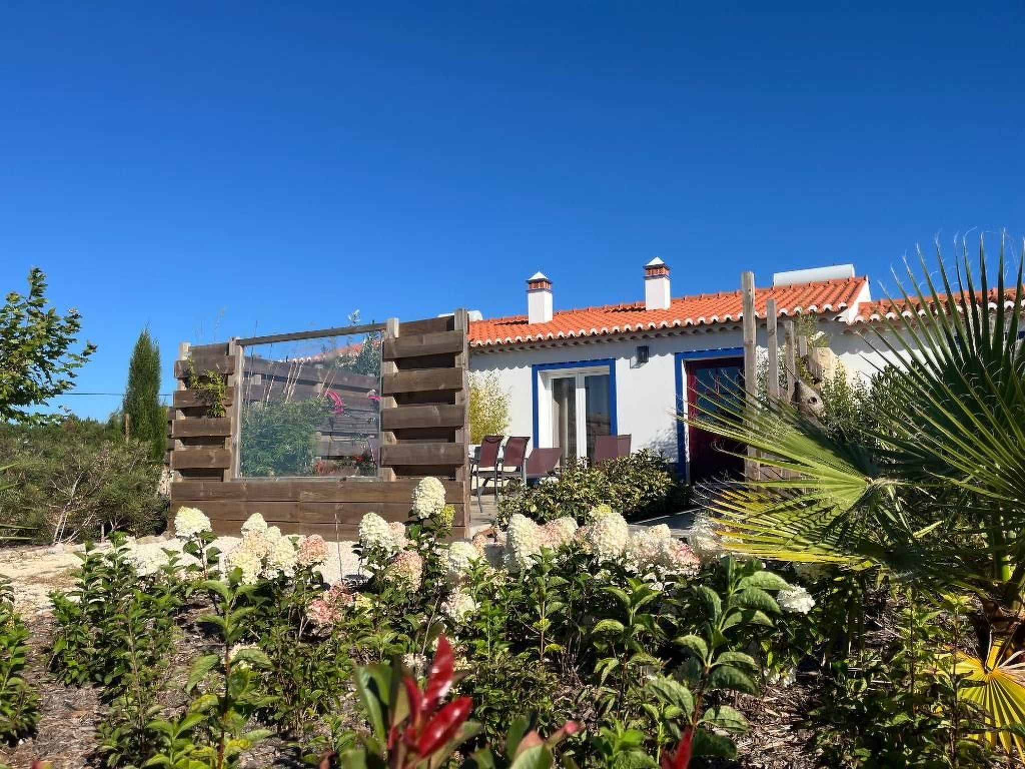 Haus Bamboo in Odeceixe mit ruhiger Terrasse