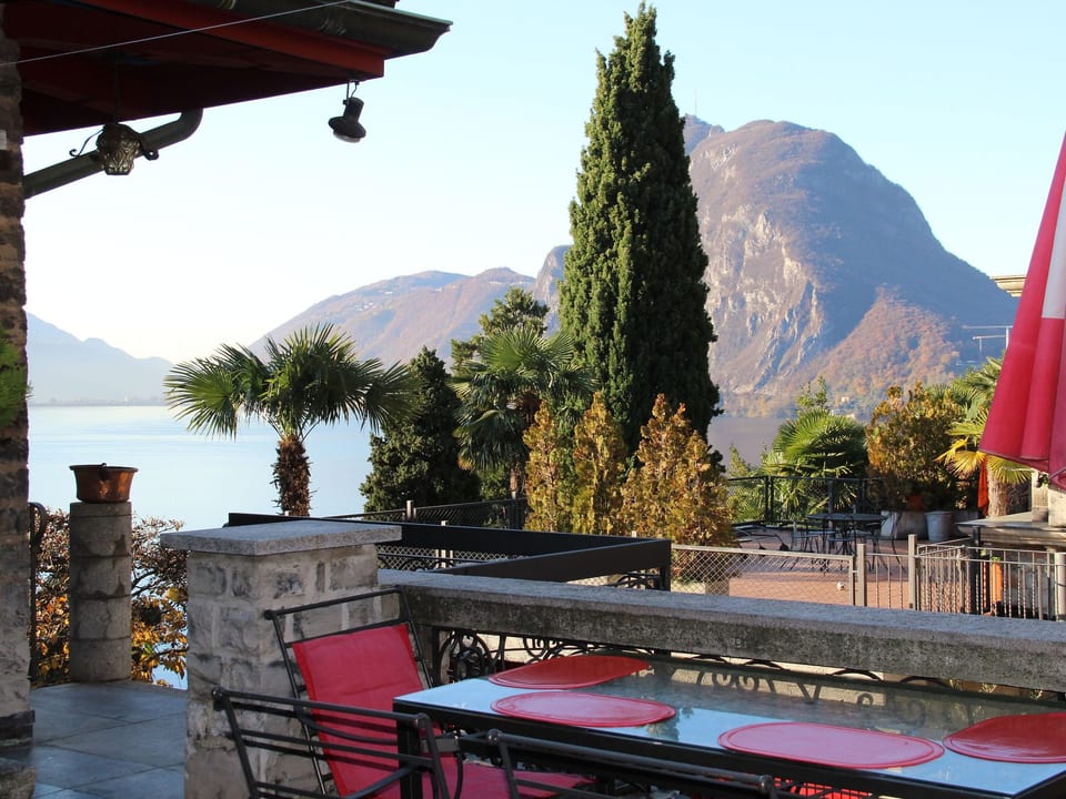 Agave - Lugano