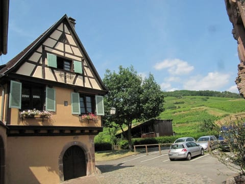1ed-Face Vosges,au Sud,coeur Vignoble,Calme,WiFi