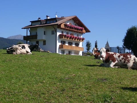Rosenheim Appartement 2