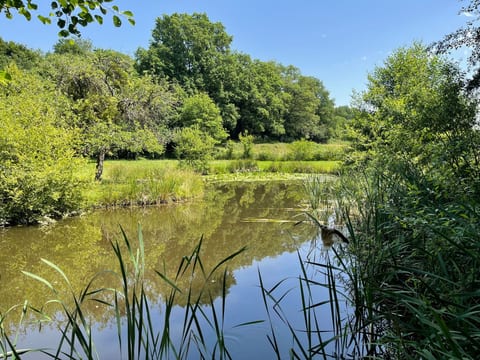 für 6 Pers. mit eigenem Teich