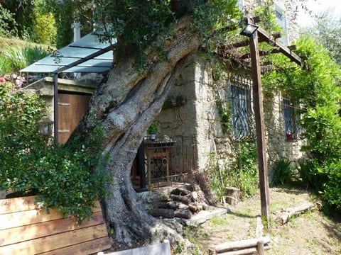 'Giaggioli' mit Garten und Terrasse