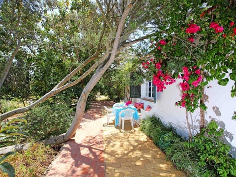 "Casa Branca" mit Grill