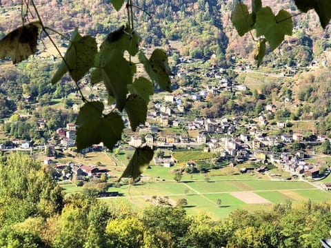 Ursprüngliches, stilvolles Rustico