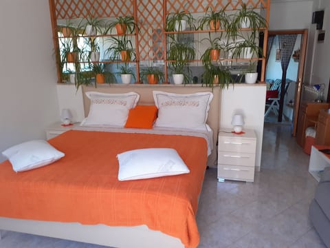 Studio Oliva ****