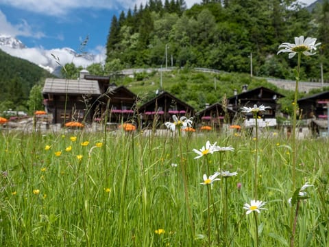 Chalet Borgo Walser Testa 6