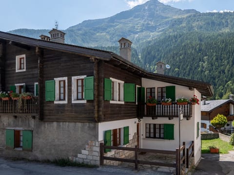 Wohnung im Dorfzentrum Ronco 1