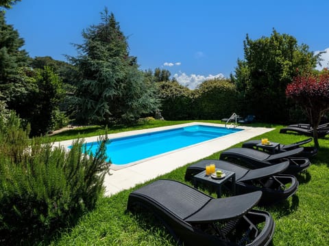 Delta Wellness Villa