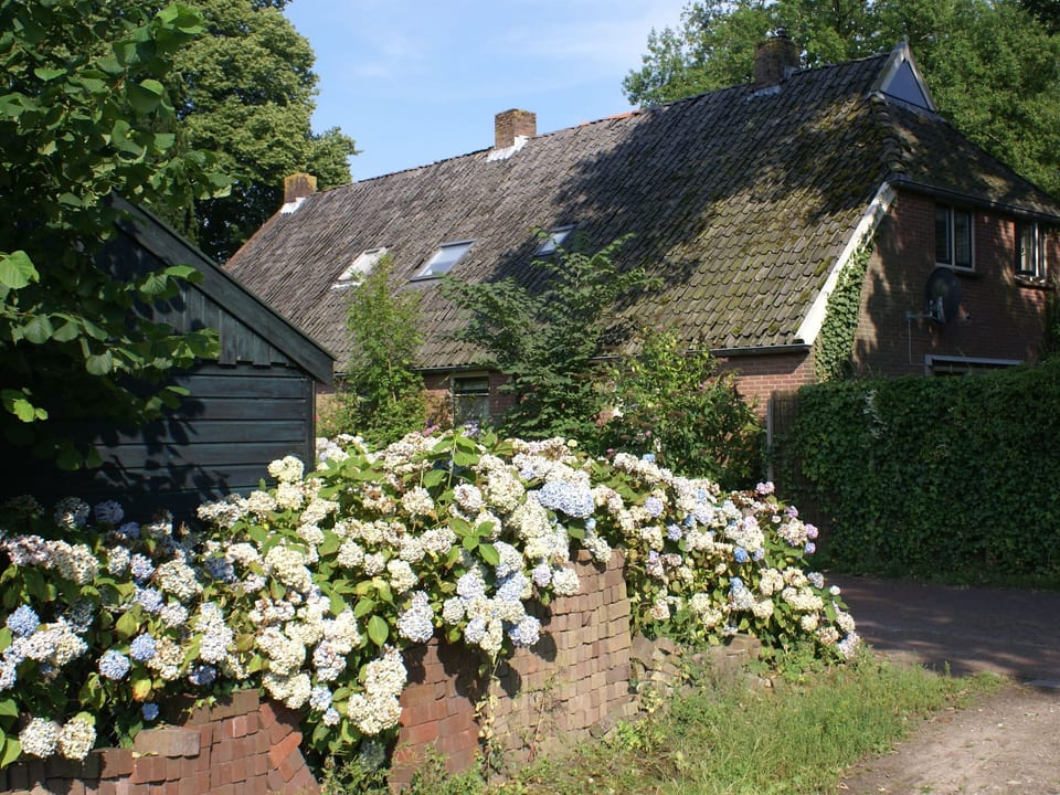 Geschmackvoll eingerichtetes Bauernhaus aus dem 19. - Diever