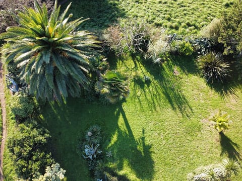 Prächtige Villa mit exotischem Garten, Strand 200m entfernt