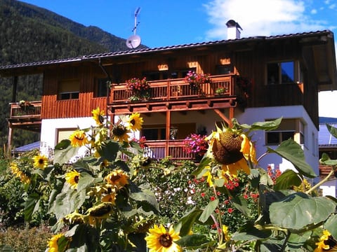 mit Terrasse auf einem Bauernhof