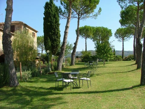 flach 'Molinello Cipresso
