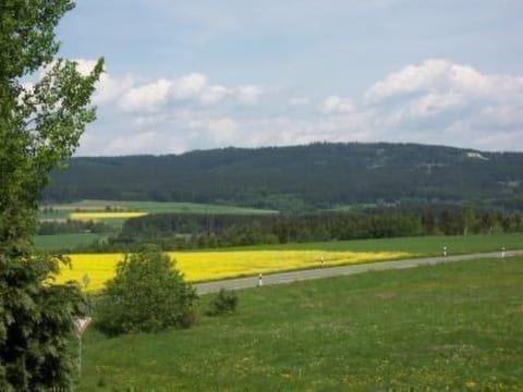 am Weißenstädter See