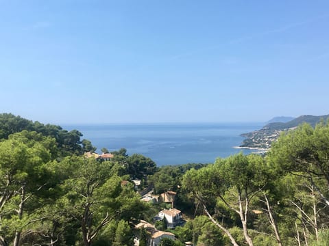 "Mesomax" mit Meerblick