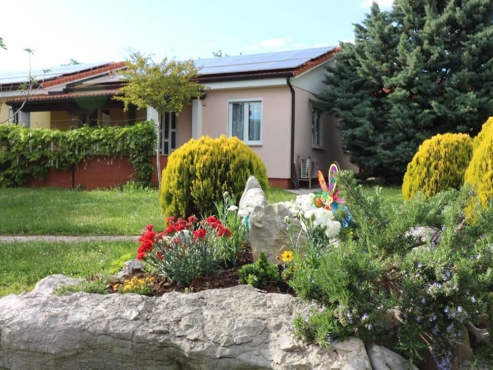 Lavanda4 - Dračevac