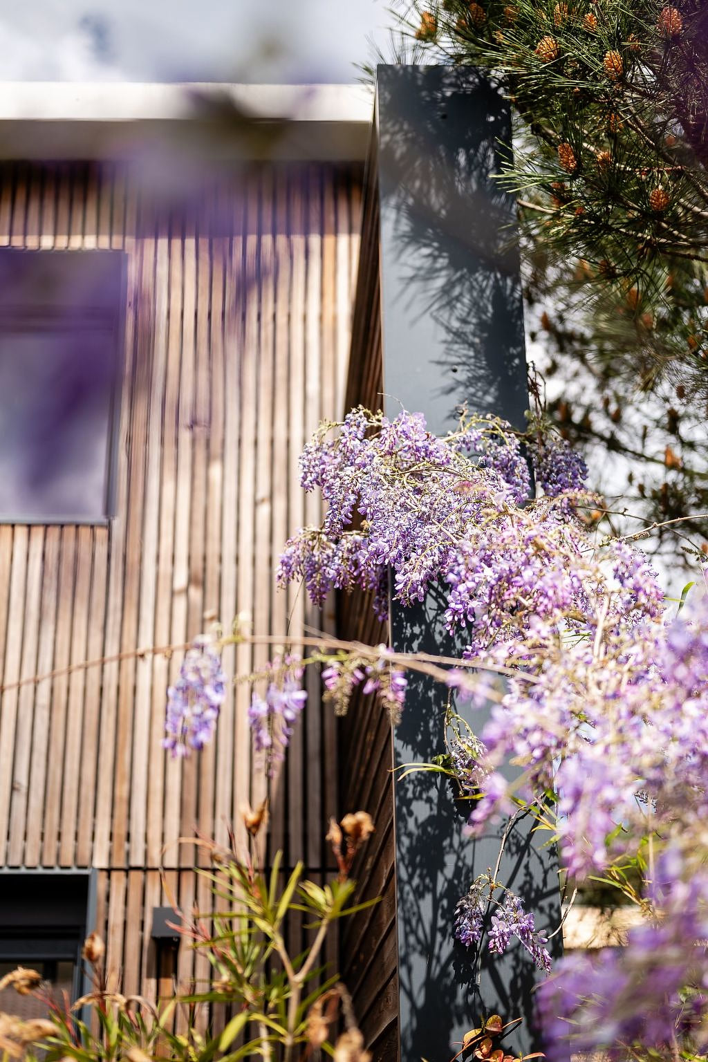 Villa contis plage 900m vom Ozean entfernt - 3 Schlafzimmer