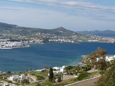 Apollon Paradise