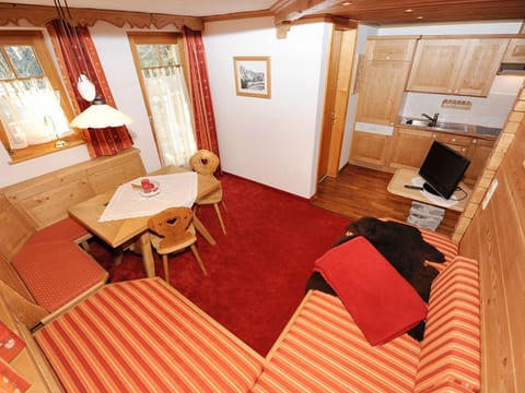 Ruhige Wohnung in Sankt Gallenkirch mit Garten