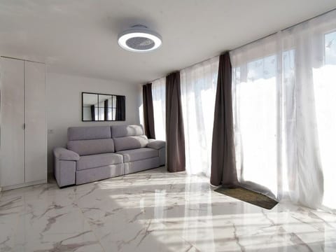 PALMERA 40