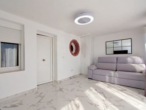 PALMERA 40