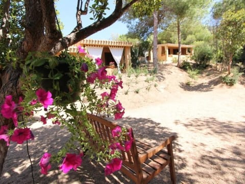 Wohnung 'Rosa 3' mit Terrasse