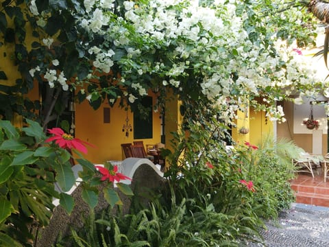 "Ines" mit Terrasse