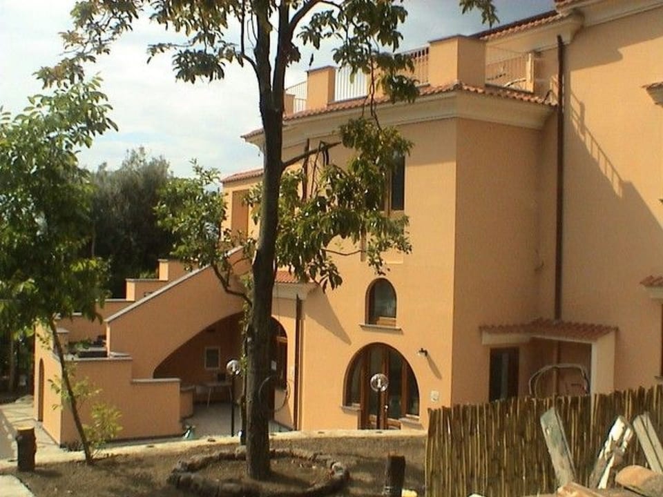 Camelia - Sorrento