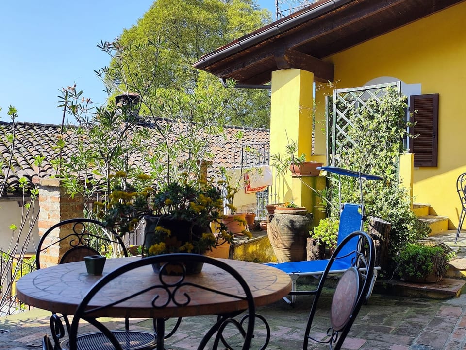 Rote Rose - Metropolitan City of Turin