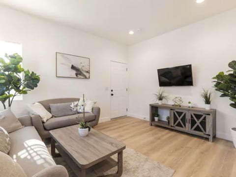 Modern Home