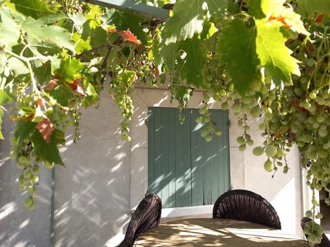 Charmantes Bauernhaus in der Provence