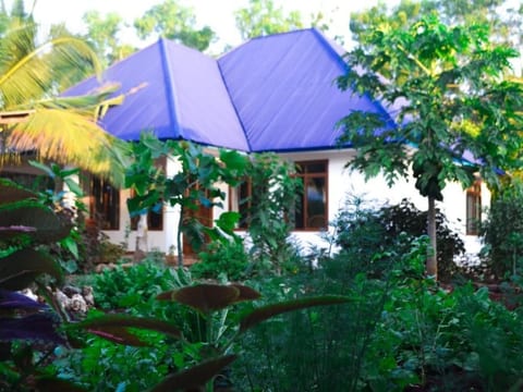 "Villa1" mit Pool