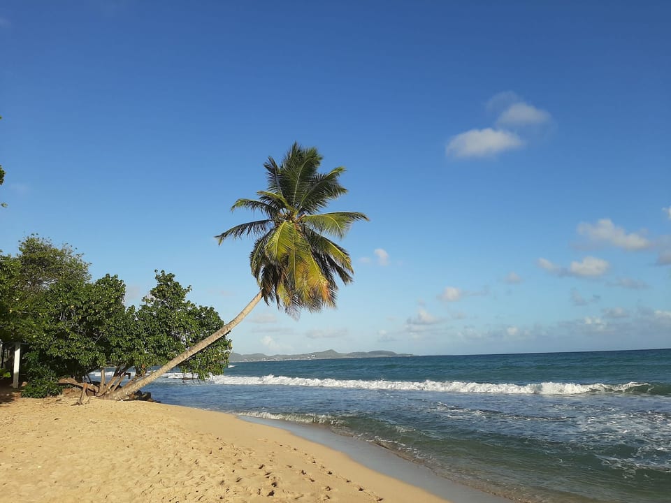 Appartment Le Marin mit Meerblick in Top Lage auf Martinique - Le Marin