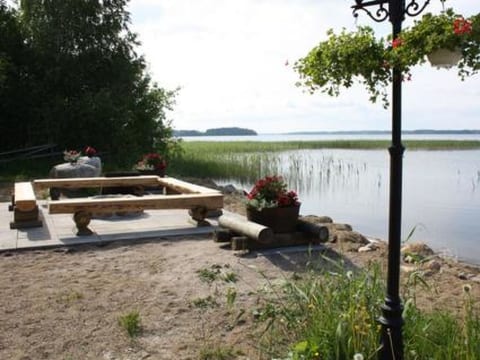 Villa vuorikotka